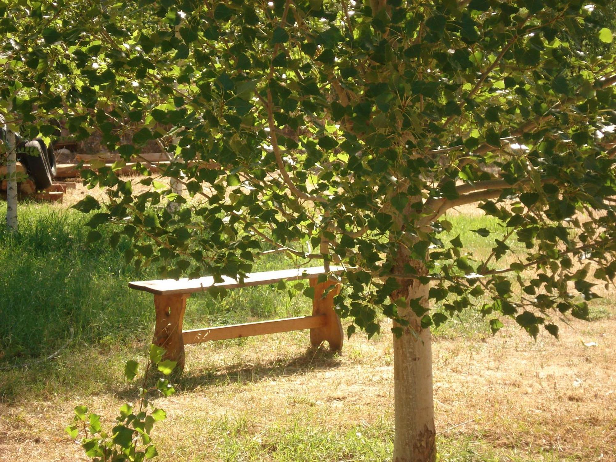 Masia El Carcabà - Molí del Pont. Cornudella de Montsant Exterior foto