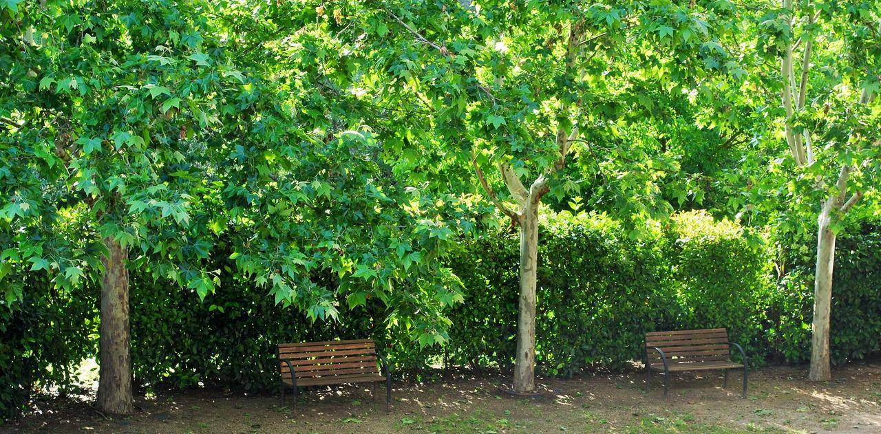Masia El Carcabà - Molí del Pont. Cornudella de Montsant Exterior foto